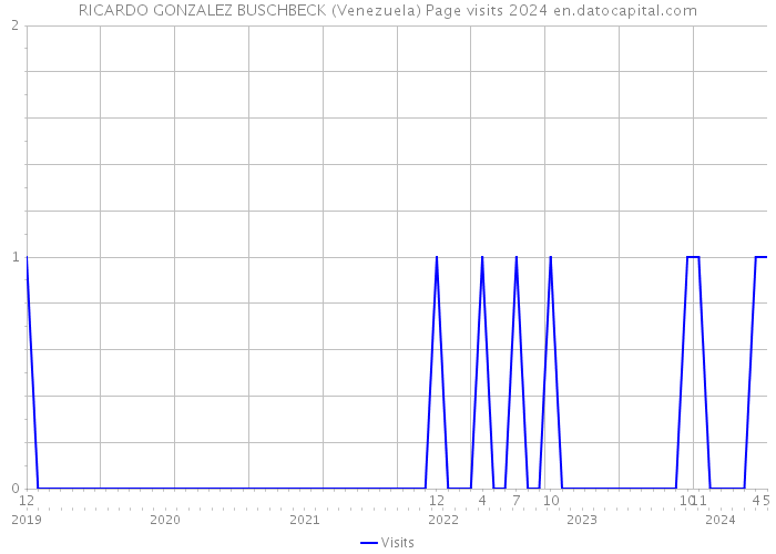 RICARDO GONZALEZ BUSCHBECK (Venezuela) Page visits 2024 