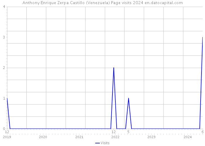 Anthony Enrique Zerpa Castillo (Venezuela) Page visits 2024 