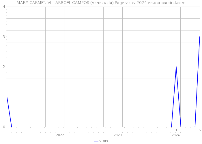 MARY CARMEN VILLARROEL CAMPOS (Venezuela) Page visits 2024 