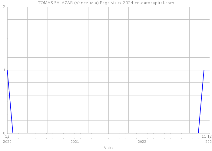 TOMAS SALAZAR (Venezuela) Page visits 2024 