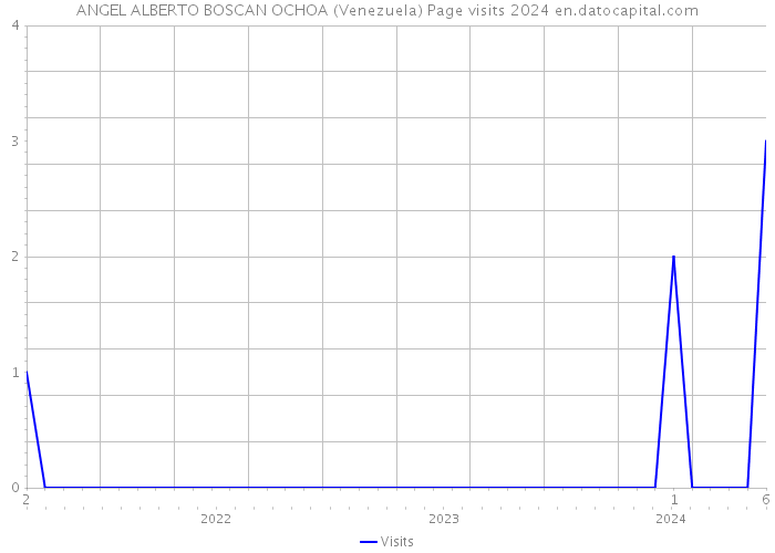 ANGEL ALBERTO BOSCAN OCHOA (Venezuela) Page visits 2024 