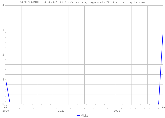 DANI MARIBEL SALAZAR TORO (Venezuela) Page visits 2024 