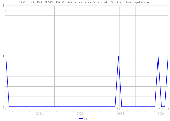 COOPERATIVA DESPULPADORA (Venezuela) Page visits 2024 