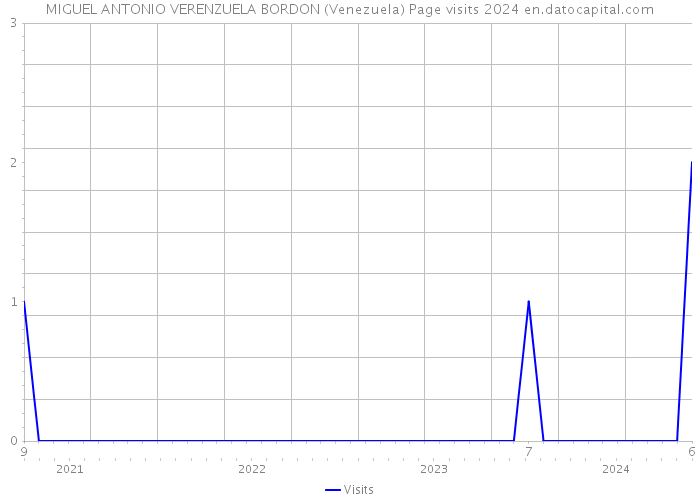MIGUEL ANTONIO VERENZUELA BORDON (Venezuela) Page visits 2024 