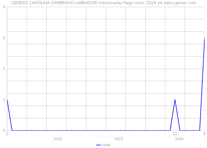 GENESIS CAROLINA ZAMBRANO LABRADOR (Venezuela) Page visits 2024 
