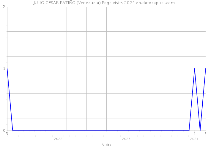 JULIO CESAR PATIÑO (Venezuela) Page visits 2024 