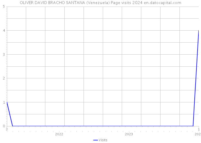 OLIVER DAVID BRACHO SANTANA (Venezuela) Page visits 2024 