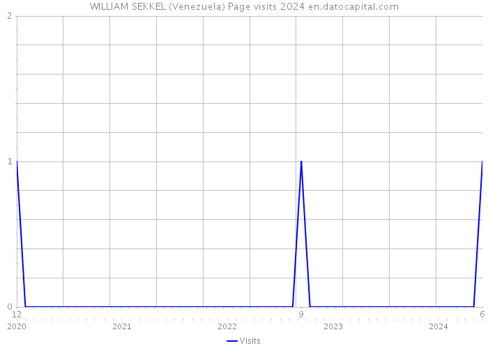 WILLIAM SEKKEL (Venezuela) Page visits 2024 