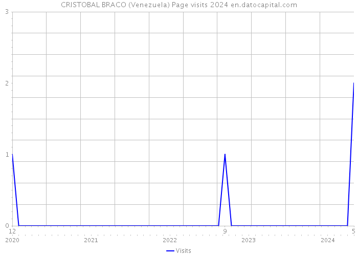 CRISTOBAL BRACO (Venezuela) Page visits 2024 
