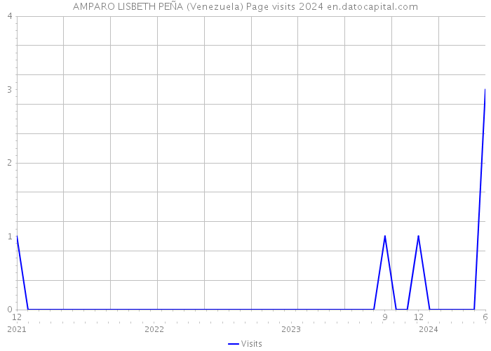 AMPARO LISBETH PEÑA (Venezuela) Page visits 2024 