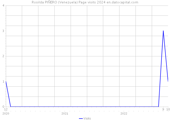 Rosilda PIÑERO (Venezuela) Page visits 2024 