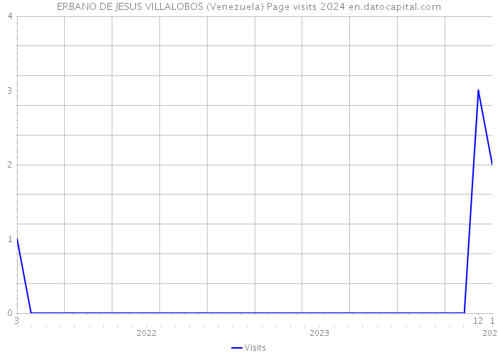 ERBANO DE JESUS VILLALOBOS (Venezuela) Page visits 2024 
