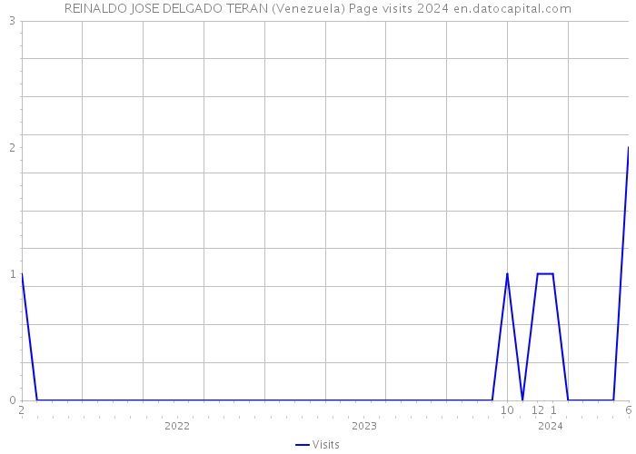 REINALDO JOSE DELGADO TERAN (Venezuela) Page visits 2024 