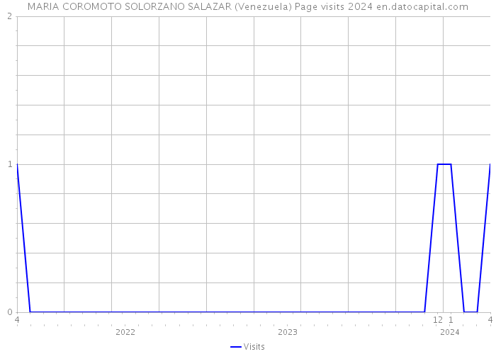 MARIA COROMOTO SOLORZANO SALAZAR (Venezuela) Page visits 2024 