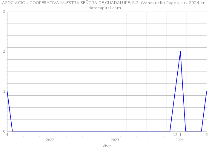 ASOCIACION COOPERATIVA NUESTRA SEÑORA DE GUADALUPE, R.S. (Venezuela) Page visits 2024 