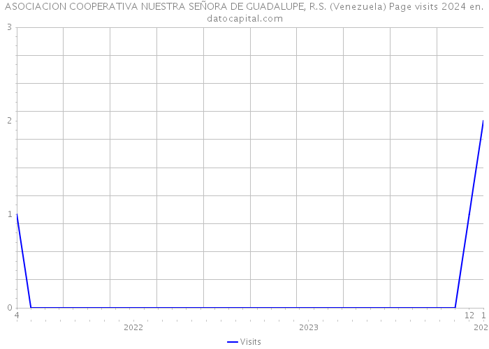 ASOCIACION COOPERATIVA NUESTRA SEÑORA DE GUADALUPE, R.S. (Venezuela) Page visits 2024 