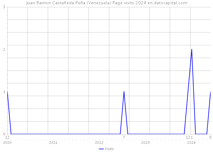 Juan Ramon Castañeda Peña (Venezuela) Page visits 2024 