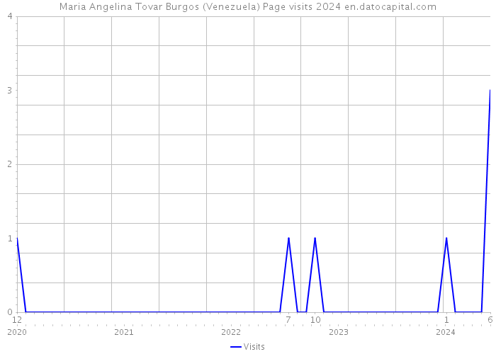 Maria Angelina Tovar Burgos (Venezuela) Page visits 2024 