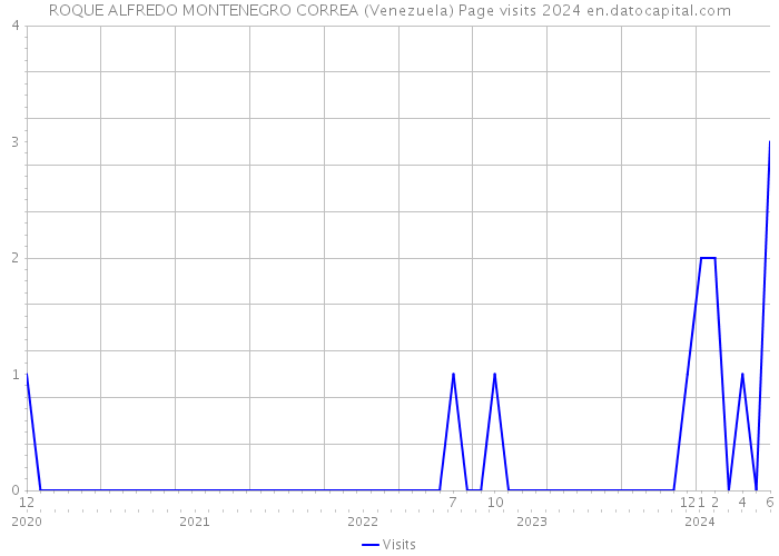 ROQUE ALFREDO MONTENEGRO CORREA (Venezuela) Page visits 2024 