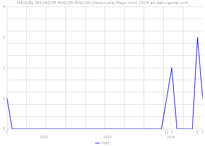 MANUEL SALVADOR RINCON RINCON (Venezuela) Page visits 2024 
