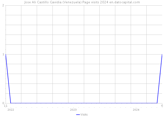 Jose Ali Castillo Gavidia (Venezuela) Page visits 2024 