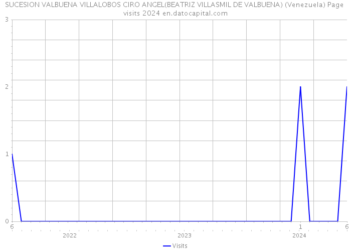SUCESION VALBUENA VILLALOBOS CIRO ANGEL(BEATRIZ VILLASMIL DE VALBUENA) (Venezuela) Page visits 2024 