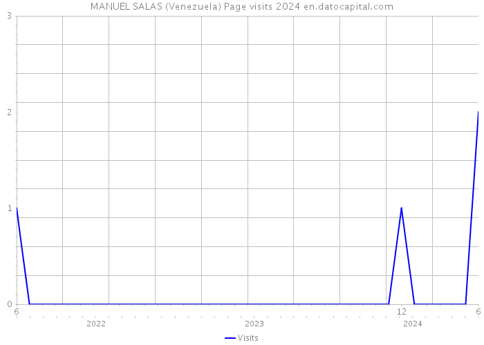 MANUEL SALAS (Venezuela) Page visits 2024 
