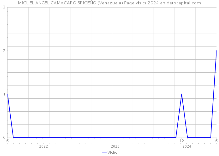 MIGUEL ANGEL CAMACARO BRICEÑO (Venezuela) Page visits 2024 