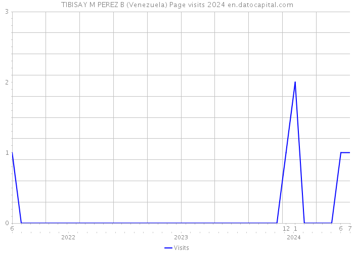 TIBISAY M PEREZ B (Venezuela) Page visits 2024 
