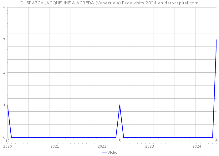 DUBRAZCA JACQUELINE A AGREDA (Venezuela) Page visits 2024 