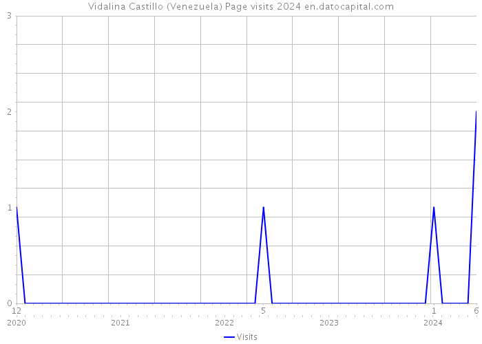 Vidalina Castillo (Venezuela) Page visits 2024 