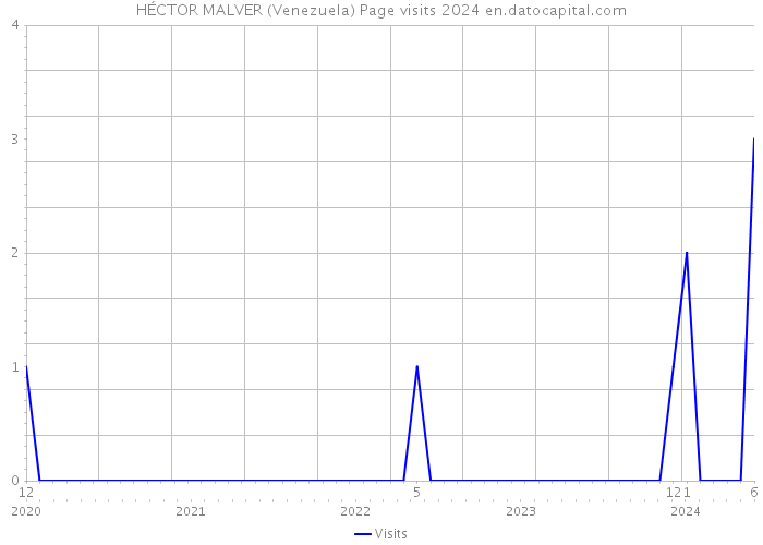 HÉCTOR MALVER (Venezuela) Page visits 2024 