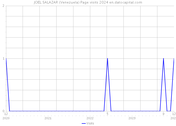 JOEL SALAZAR (Venezuela) Page visits 2024 