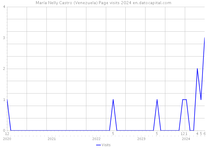 María Nelly Castro (Venezuela) Page visits 2024 
