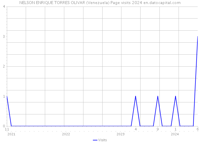 NELSON ENRIQUE TORRES OLIVAR (Venezuela) Page visits 2024 