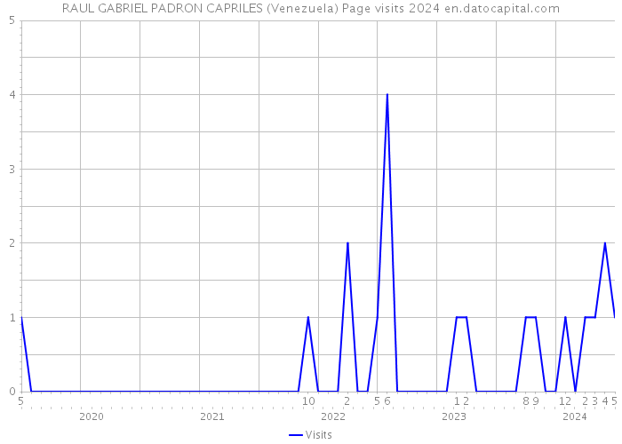 RAUL GABRIEL PADRON CAPRILES (Venezuela) Page visits 2024 