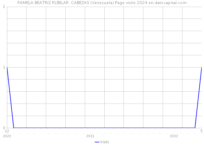 PAMELA BEATRIZ RUBILAR CABEZAS (Venezuela) Page visits 2024 