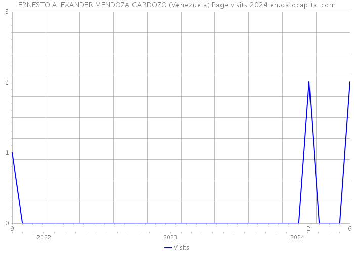 ERNESTO ALEXANDER MENDOZA CARDOZO (Venezuela) Page visits 2024 