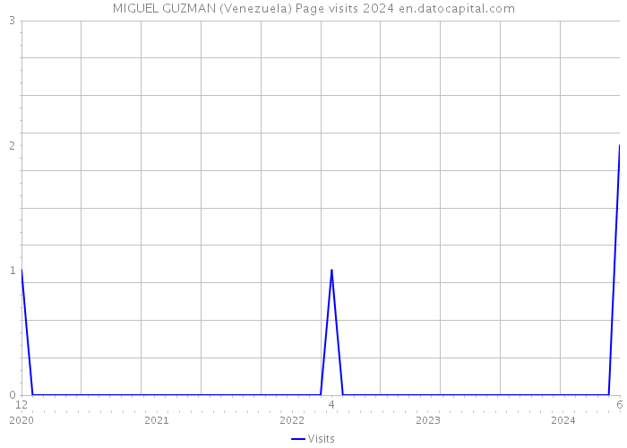 MIGUEL GUZMAN (Venezuela) Page visits 2024 