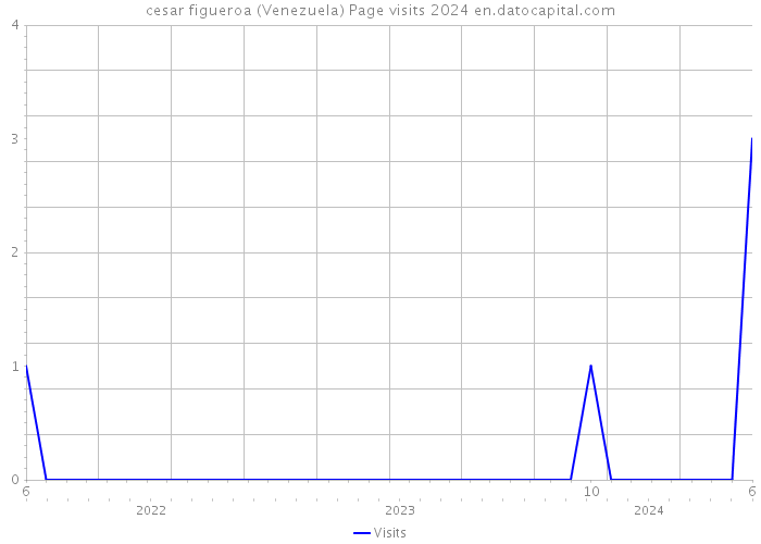 cesar figueroa (Venezuela) Page visits 2024 