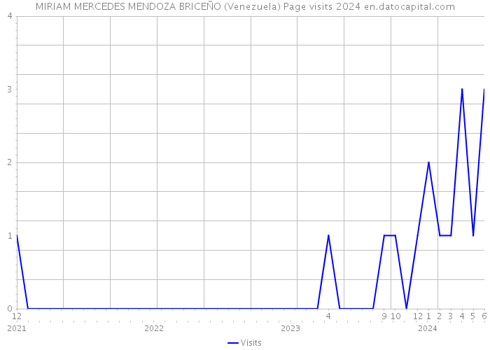 MIRIAM MERCEDES MENDOZA BRICEÑO (Venezuela) Page visits 2024 