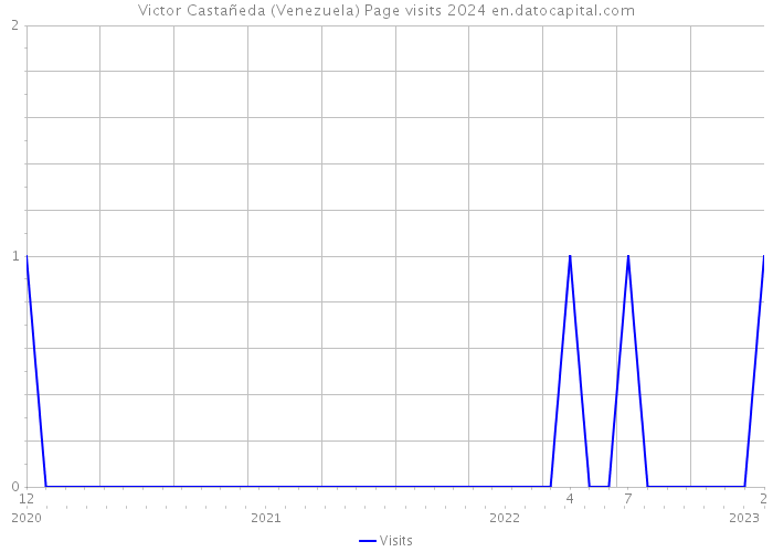Victor Castañeda (Venezuela) Page visits 2024 