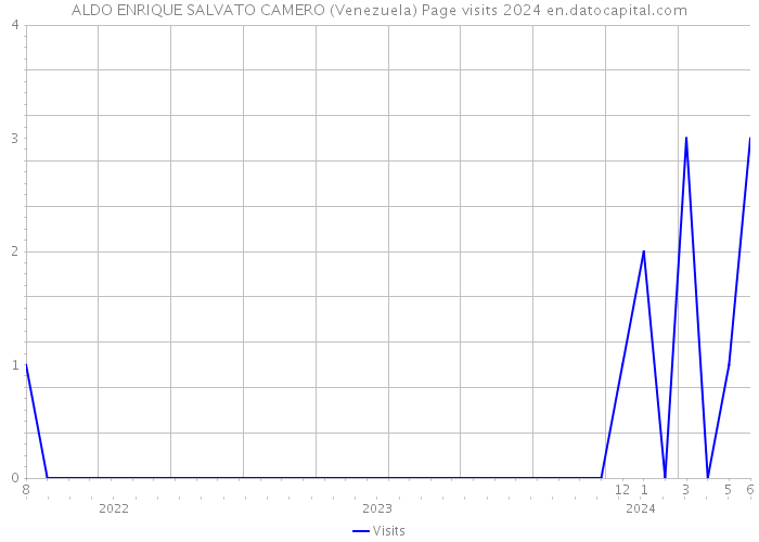 ALDO ENRIQUE SALVATO CAMERO (Venezuela) Page visits 2024 