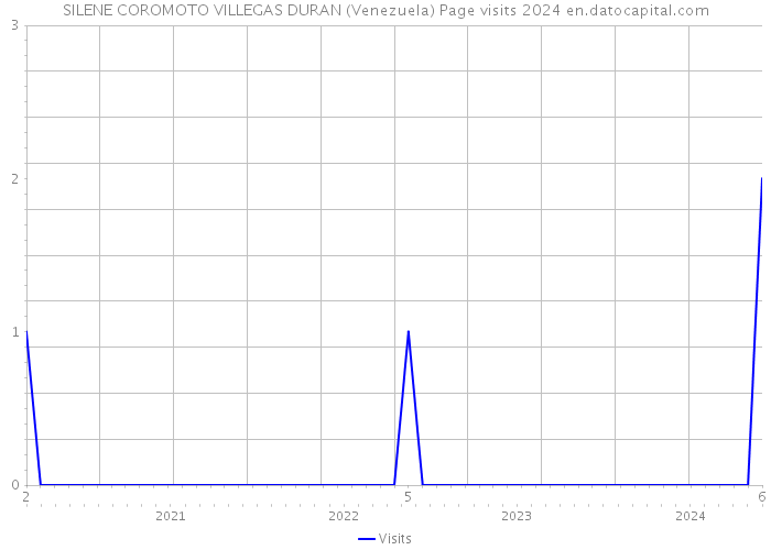 SILENE COROMOTO VILLEGAS DURAN (Venezuela) Page visits 2024 