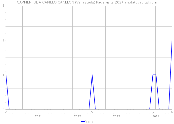CARMEN JULIA CAPIELO CANELON (Venezuela) Page visits 2024 