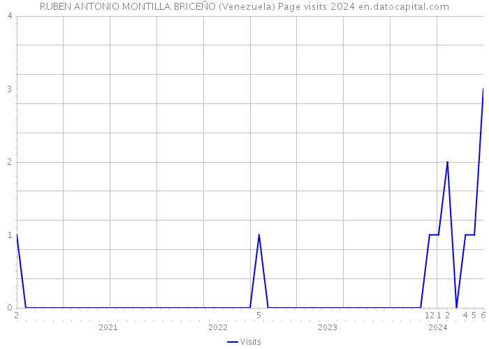 RUBEN ANTONIO MONTILLA BRICEÑO (Venezuela) Page visits 2024 