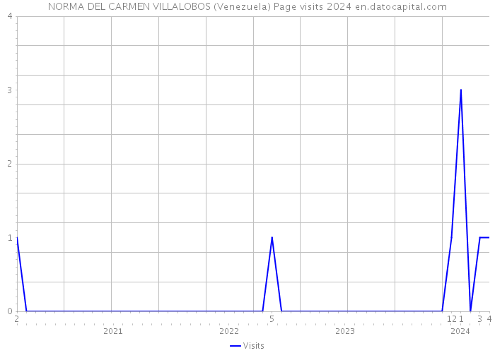 NORMA DEL CARMEN VILLALOBOS (Venezuela) Page visits 2024 
