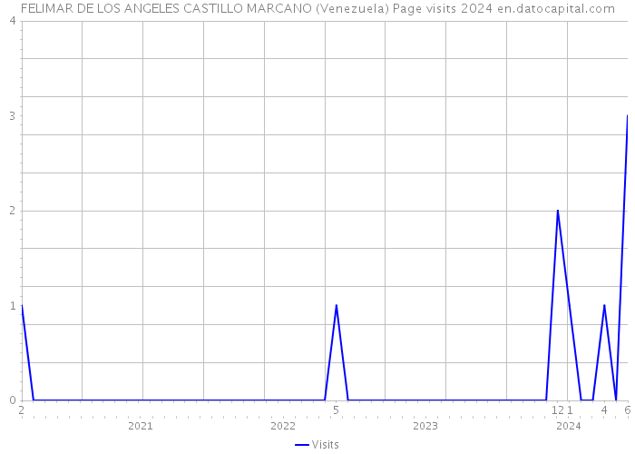 FELIMAR DE LOS ANGELES CASTILLO MARCANO (Venezuela) Page visits 2024 