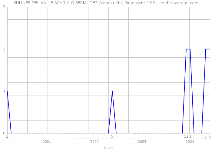 SULINER DEL VALLE APARICIO BERMUDEZ (Venezuela) Page visits 2024 