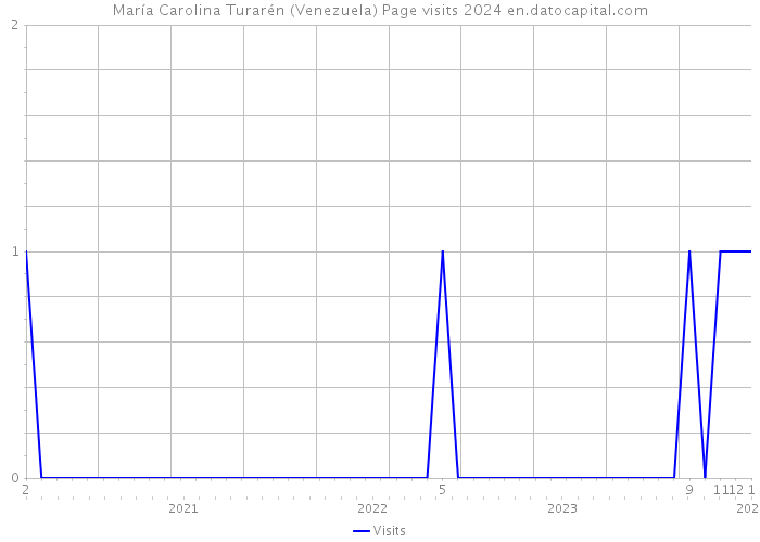 María Carolina Turarén (Venezuela) Page visits 2024 